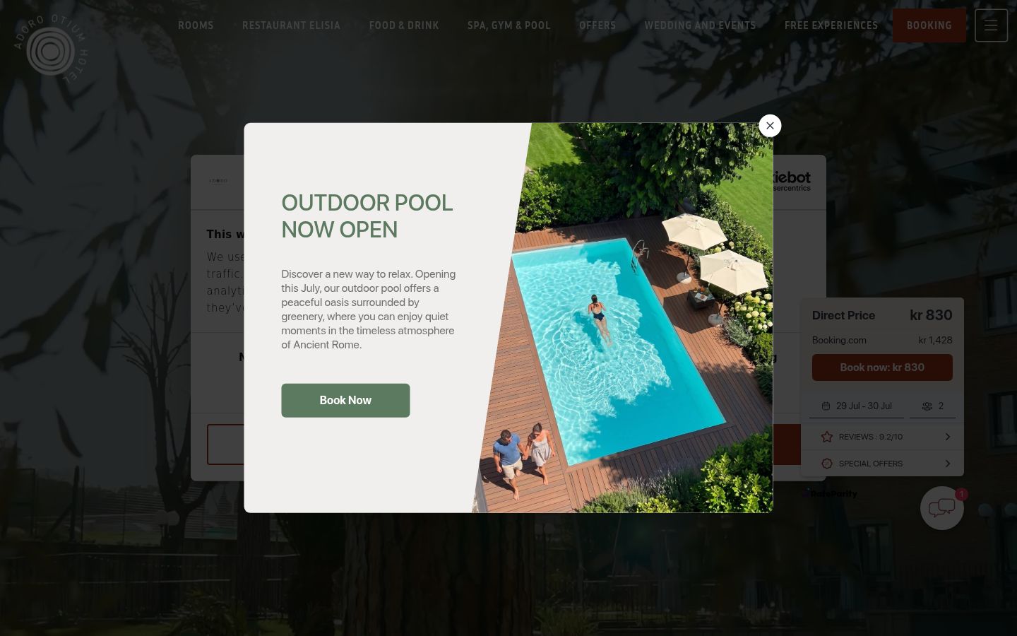 Screenshot of the consent banner shown before any interaction