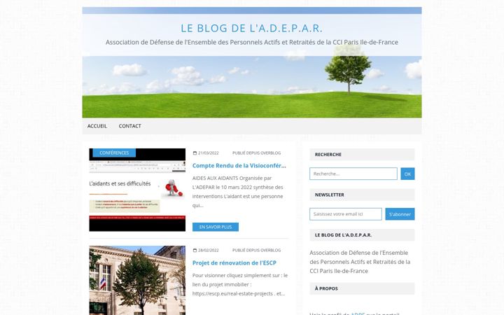 Screenshot of adpe.biz