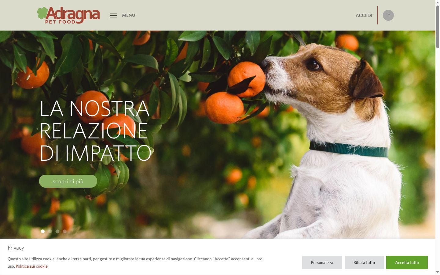 Screenshot del banner di consenso mostrato prima di qualsiasi interazione