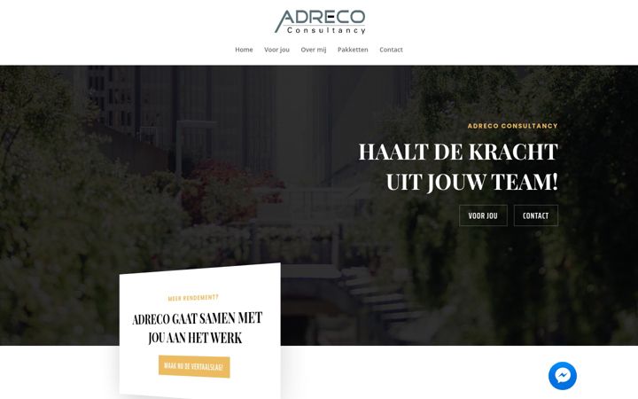 Screenshot of adrecoconsultancy.nl
