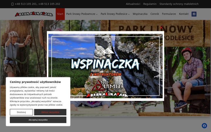 Snímek obrazovky adrenalinapark.pl