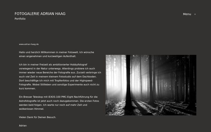Screenshot of adrian-haag.de