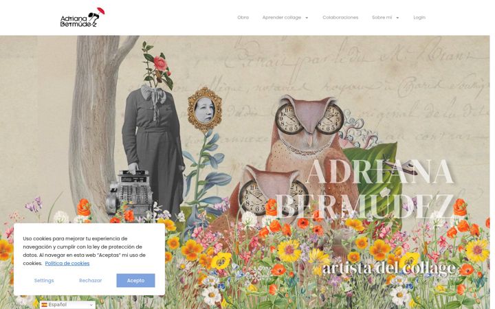 Skärmbild av adrianabermudez.com