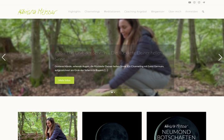 Screenshot of adrianameisser.com