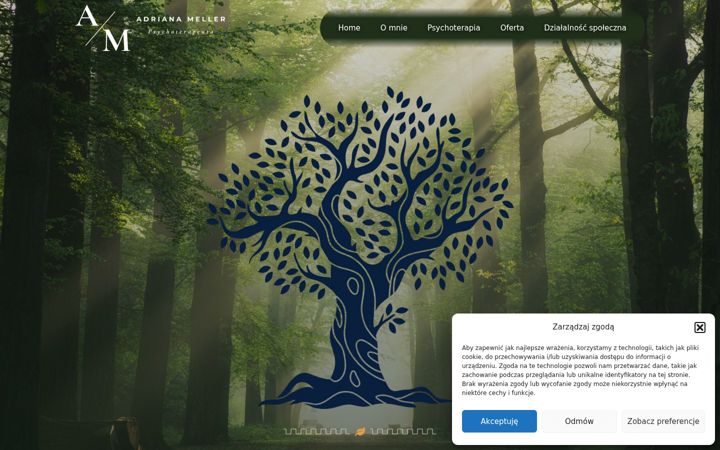 Screenshot of adrianameller.pl