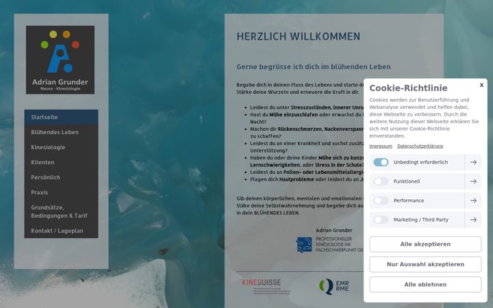 Screenshot von adriangrunder.ch