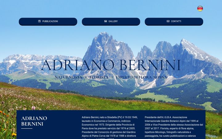 Zrzut ekranu adrianobernini.it