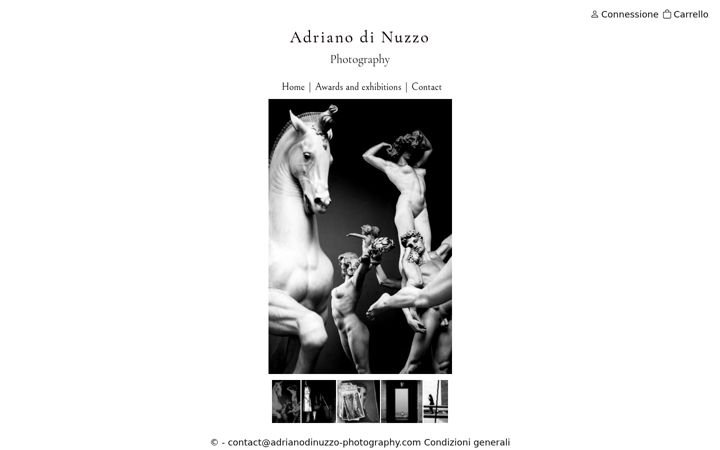 Screenshot of adrianodinuzzo-photography.com
