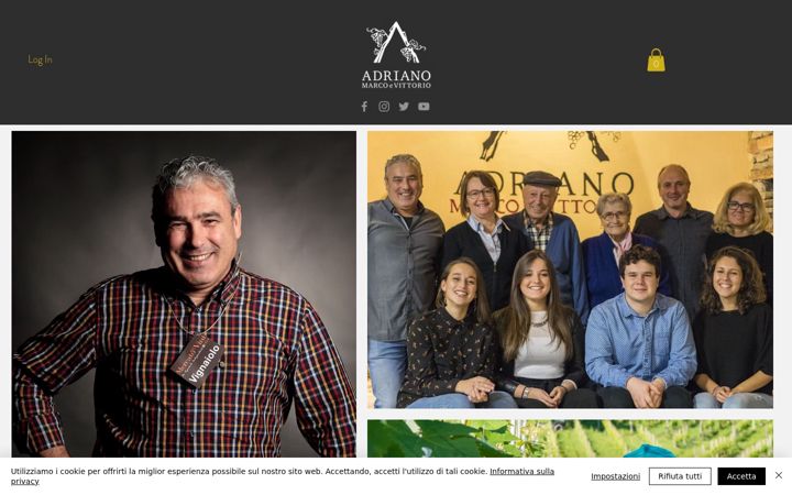 Screenshot of adrianovini.it