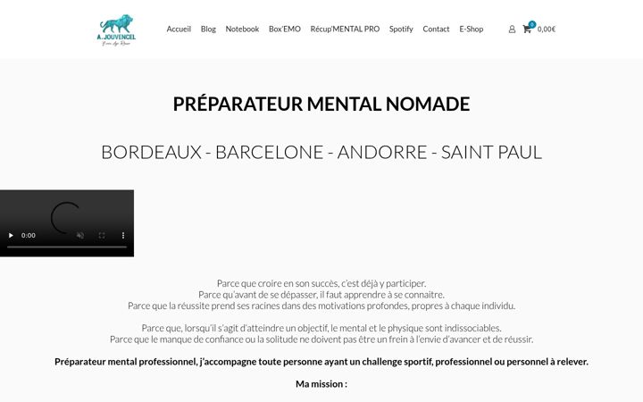 Screenshot of adrienjouvencel.com