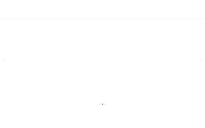 Captură de ecran a adrinadress.com