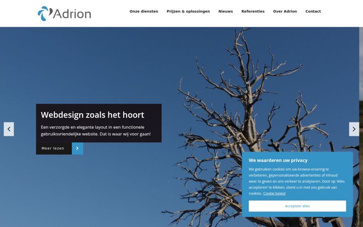 Screenshot of adrion.be