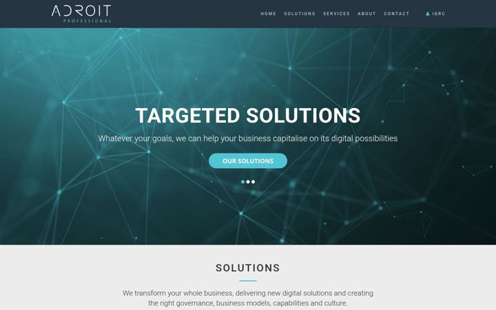 Screenshot of adroitprofessional.com