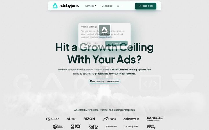 Screenshot of adsbyjoris.com