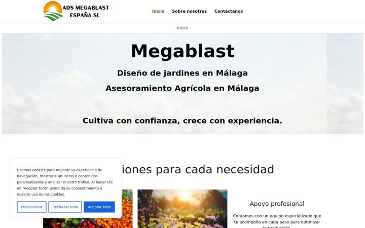 Screenshot of adsmegablast.com