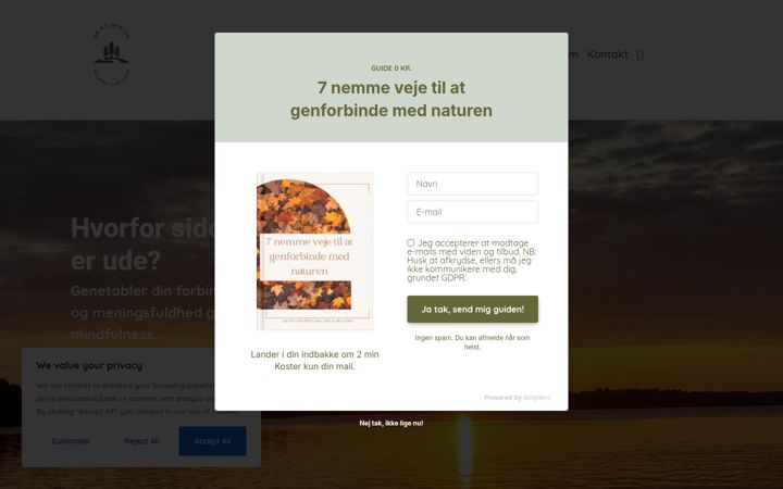 Screenshot of adstiafsted.dk