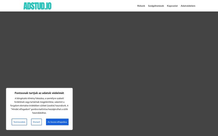 Skærmbillede af adstud.io