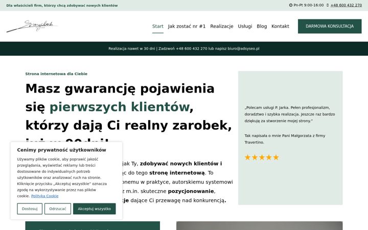 Zrzut ekranu adsyseo.pl