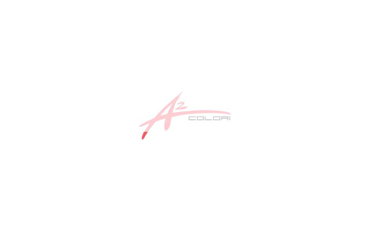 Screenshot of aduecolori.it