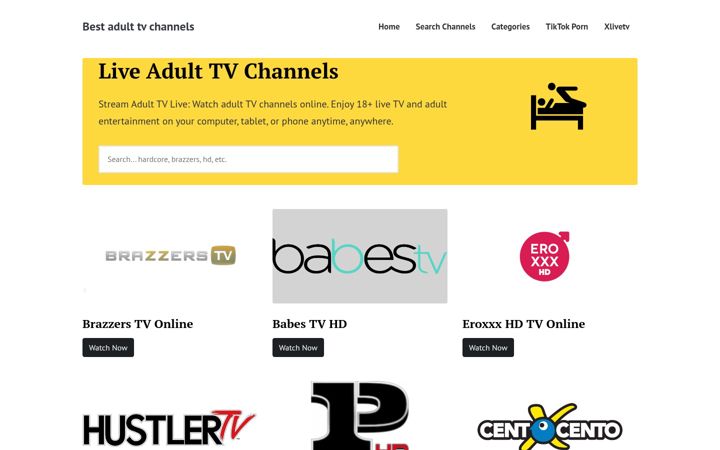 Screenshot of adult-tv-channels.click