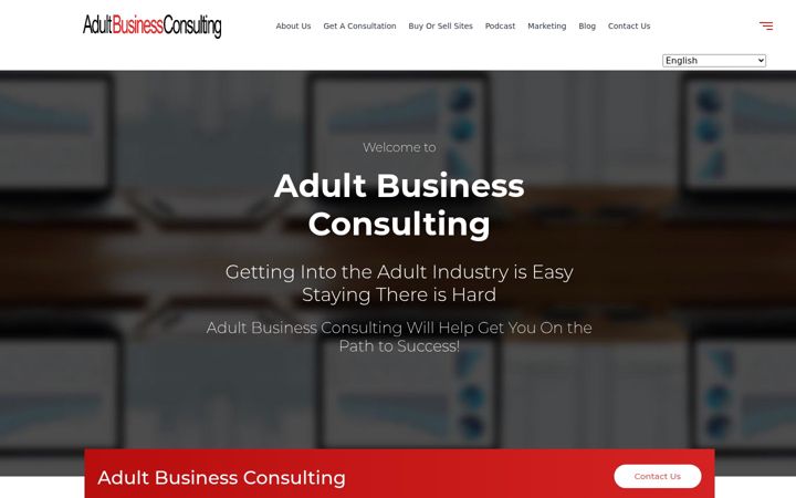 Snímek obrazovky adultbusinessconsulting.com