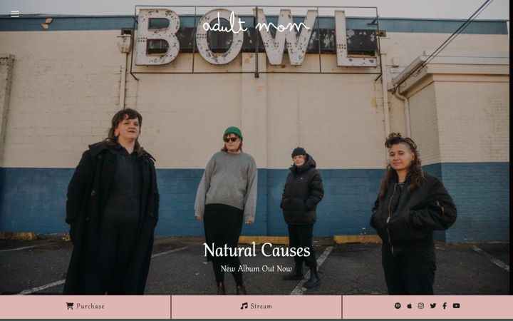 Screenshot of adultmomband.com