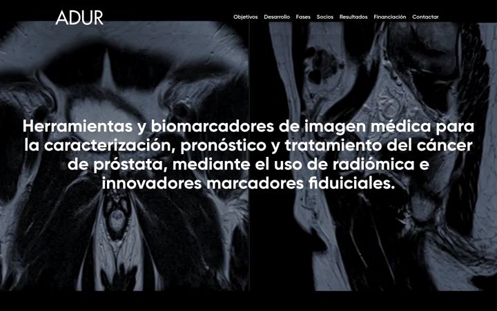 Snímek obrazovky adurproject.com