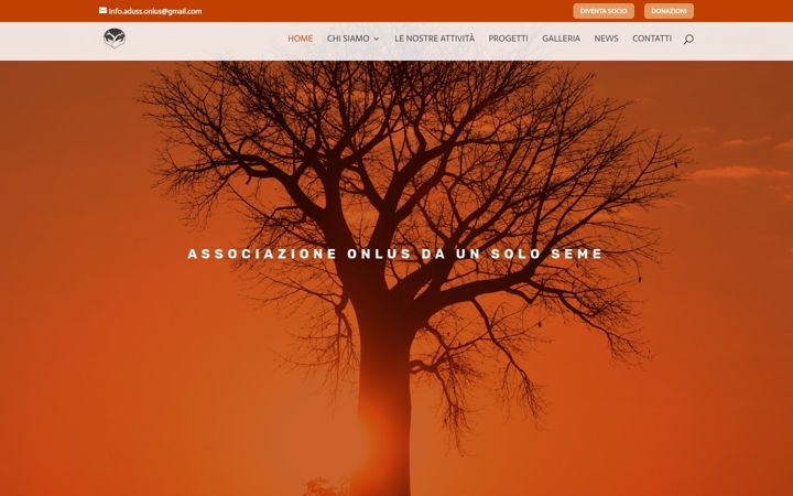 Screenshot of aduss.org