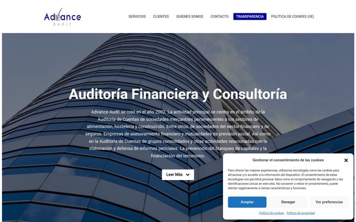 Screenshot of advanceaudit.net