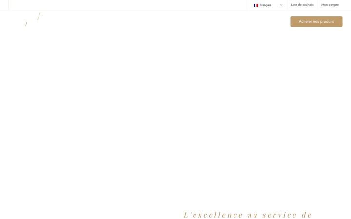 Ekrano kopija advanceparis.com