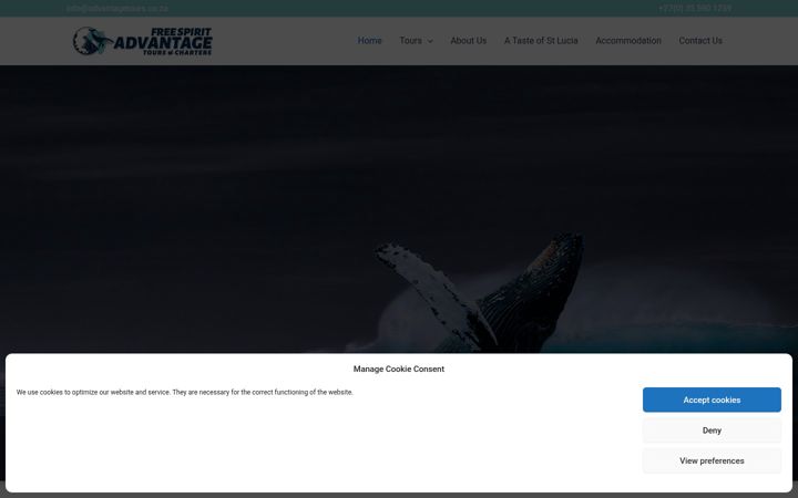 Screenshot of advantagetours.co.za