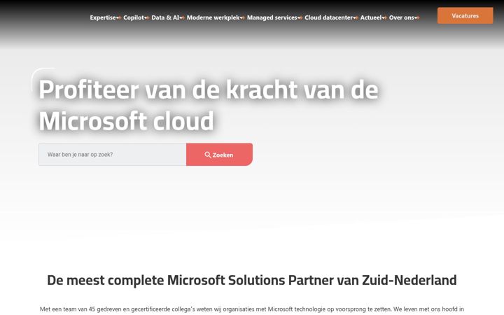 Screenshot of advantive.nl