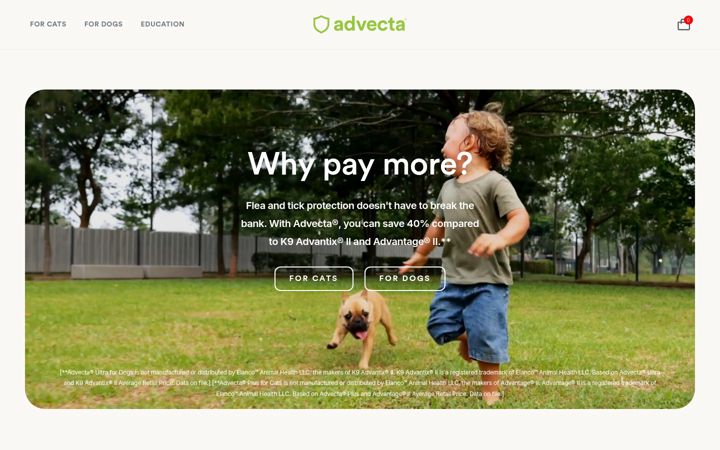 Screenshot of advecta.com