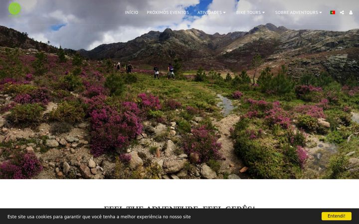 Screenshot of adventours.pt