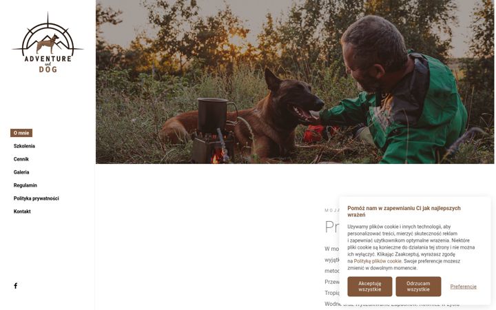 Screenshot of adventureanddog.com