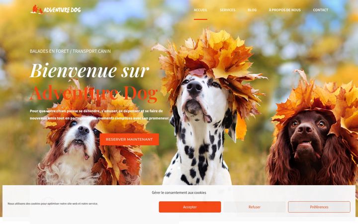 Screenshot of adventuredog.fr