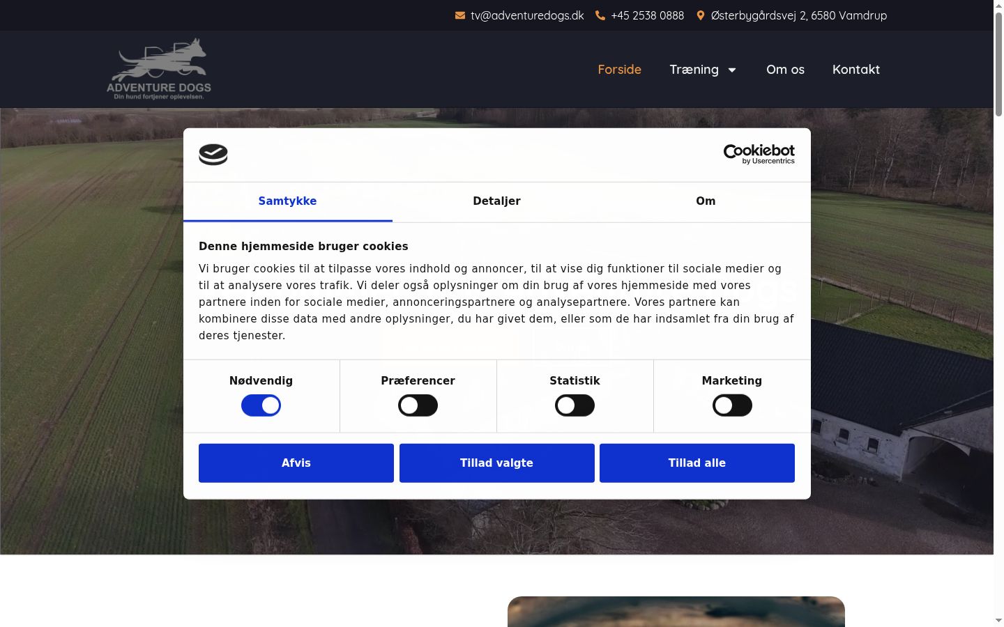 Screenshot of the consent banner shown before any interaction