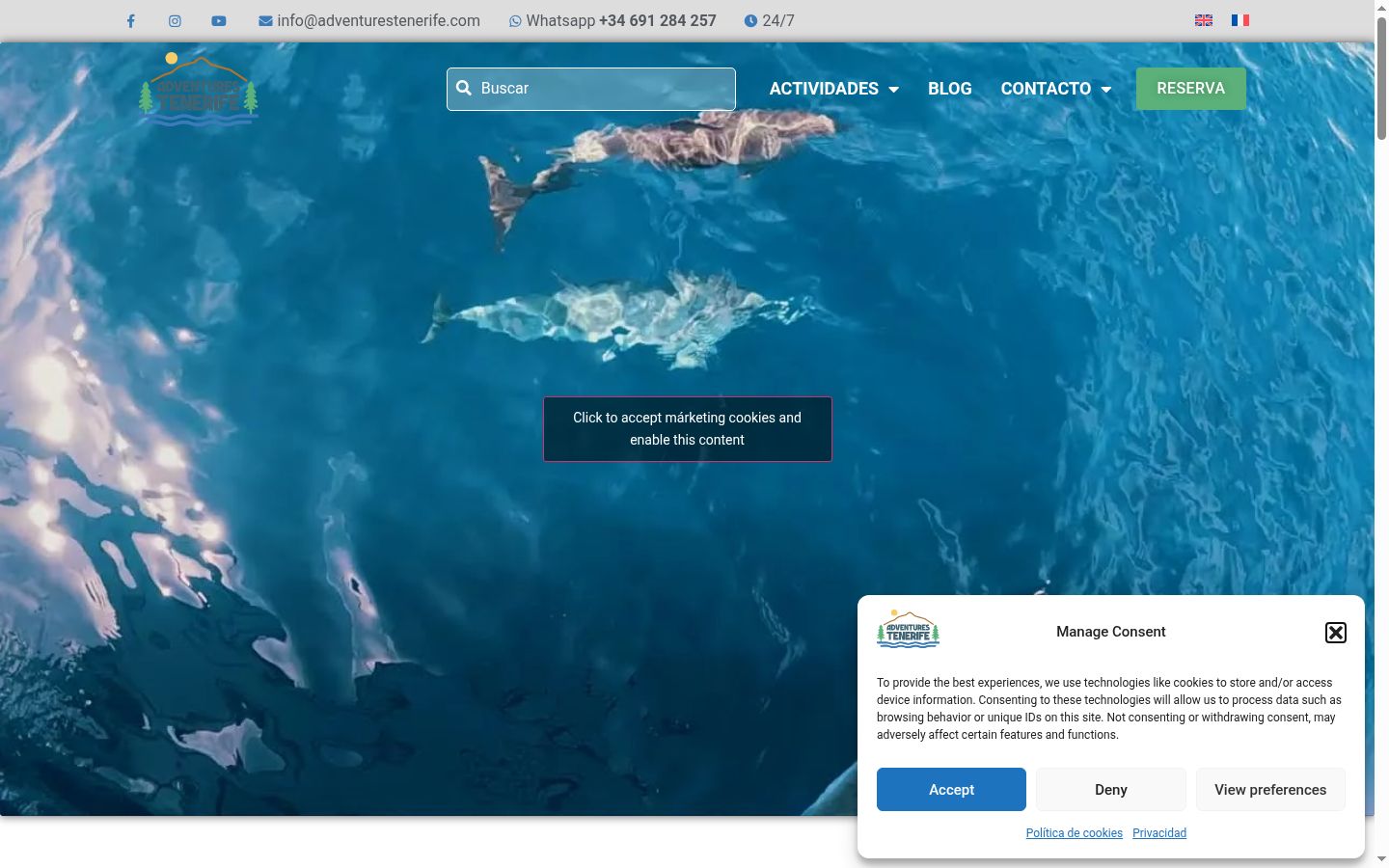 Screenshot of the consent banner shown before any interaction