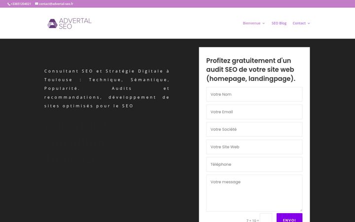 Screenshot of advertal-seo.fr
