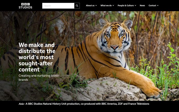 Screenshot of advertisingonbbc.com