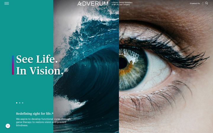Screenshot of adverum.com