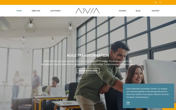 Screenshot of advia.de