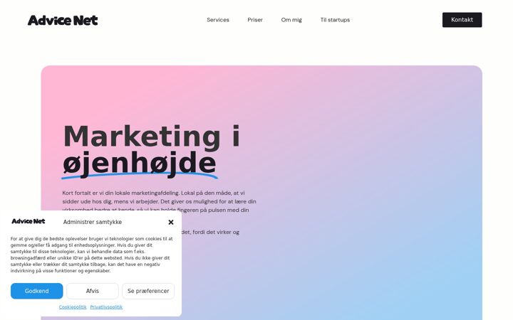 Screenshot of advicenet.dk