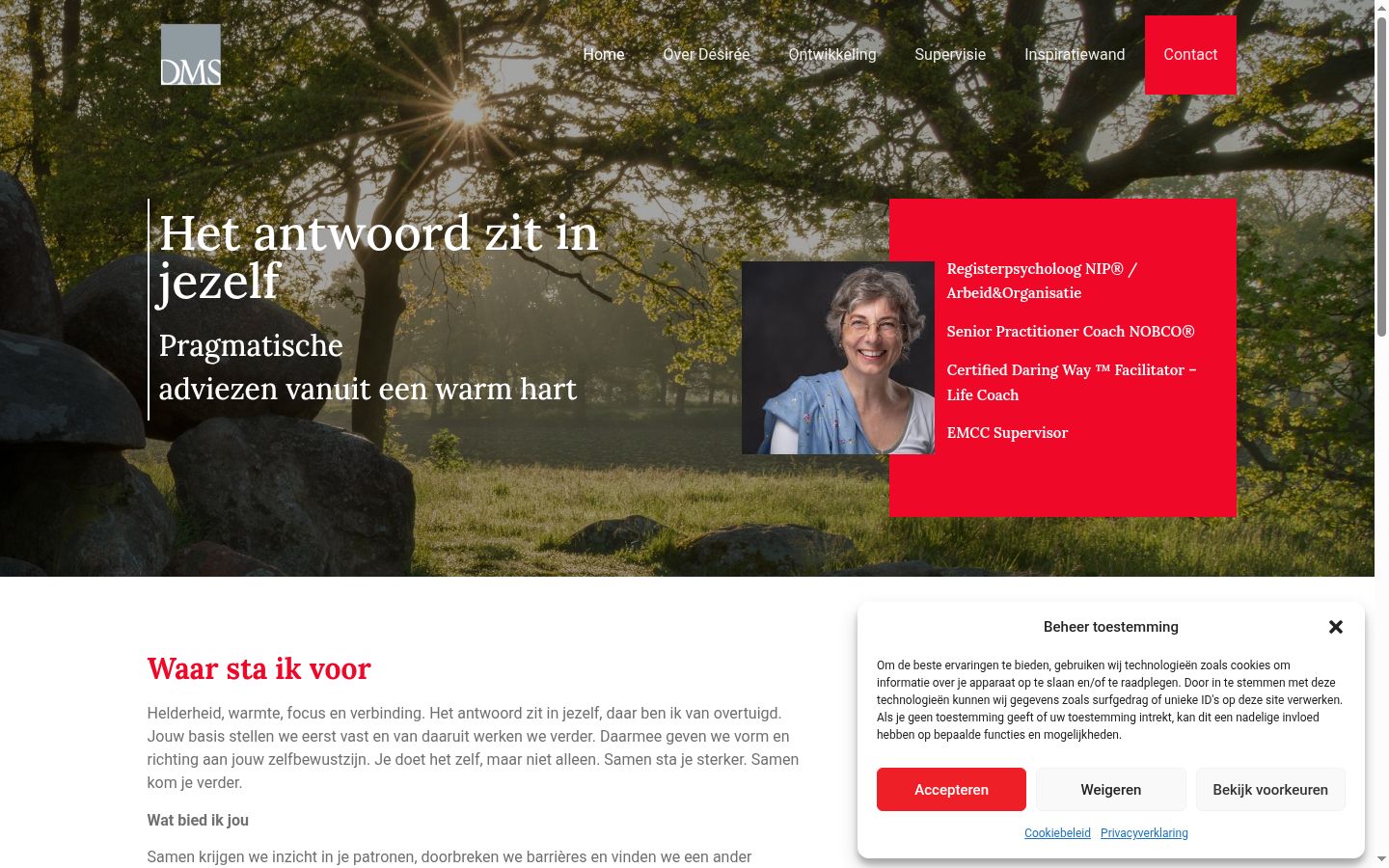 Screenshot van de toestemmingsbanner zoals getoond vóór enige interactie