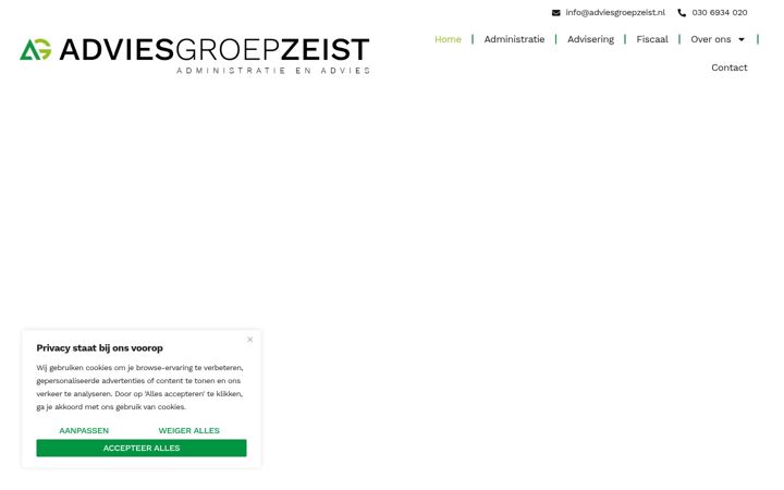 Screenshot di adviesgroepzeist.nl