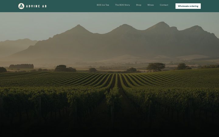 Screenshot of advine.se
