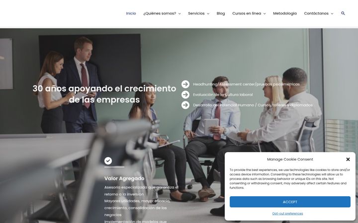 Capture d'écran de advisorsgroup.com.mx