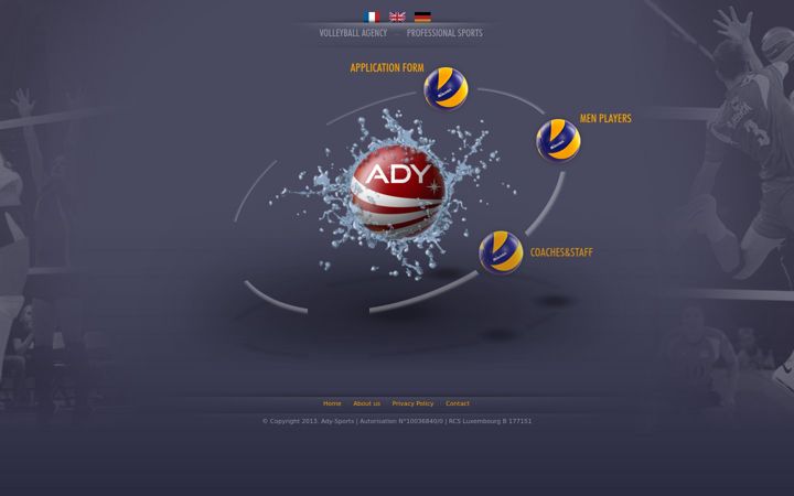 Screenshot of ady-sports.com