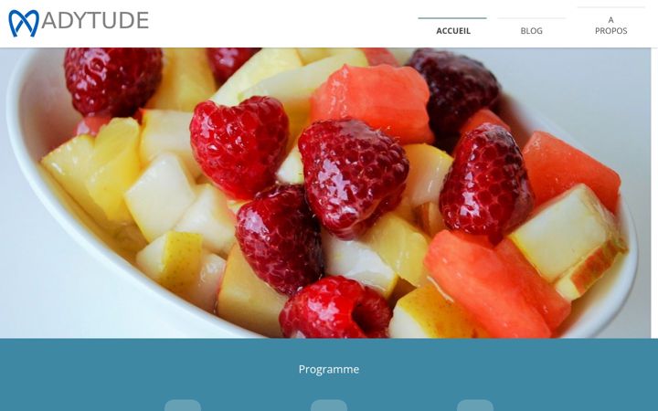 Screenshot of adytitude.com