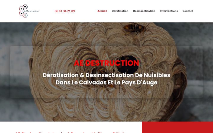 Screenshot of ae-destruction.fr